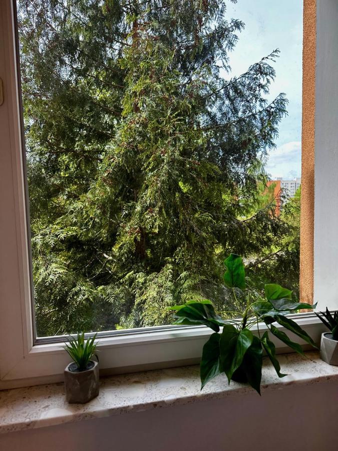 #3 Uroczy Pokoj Niedaleko Morza W Gdansku ! Exterior foto